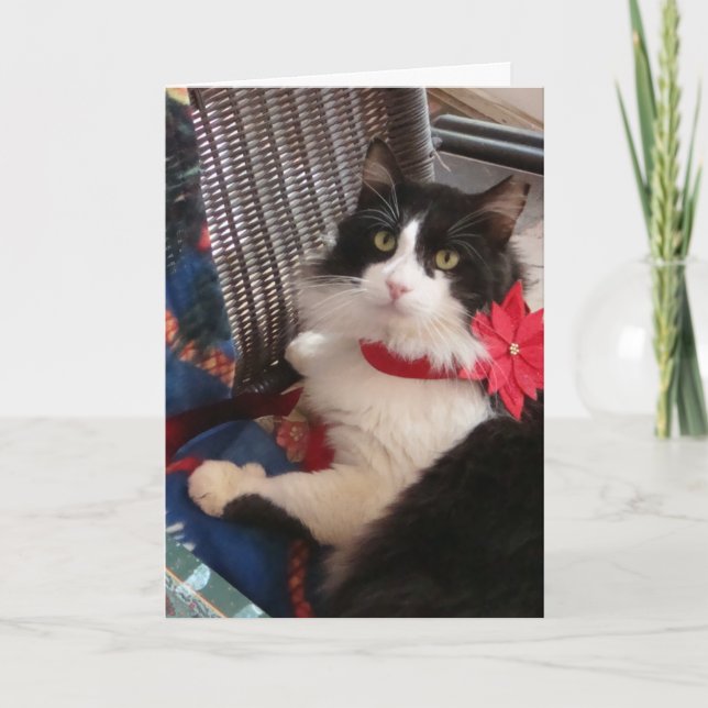 Cartão de cartões de natal de Wilbur (Frente)