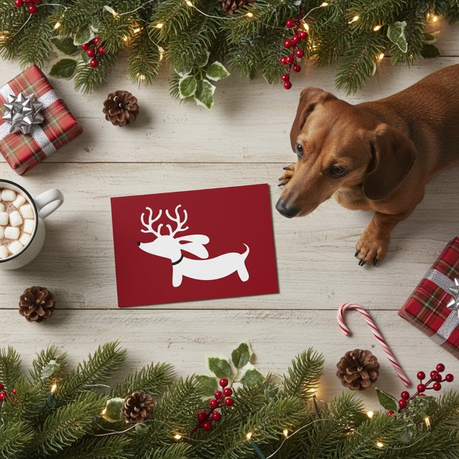 Cartão de cartões de natal Doxie do Dachshund da (Celebrate dachshund style)