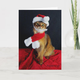Cartão de cartões de natal somaliano do gato