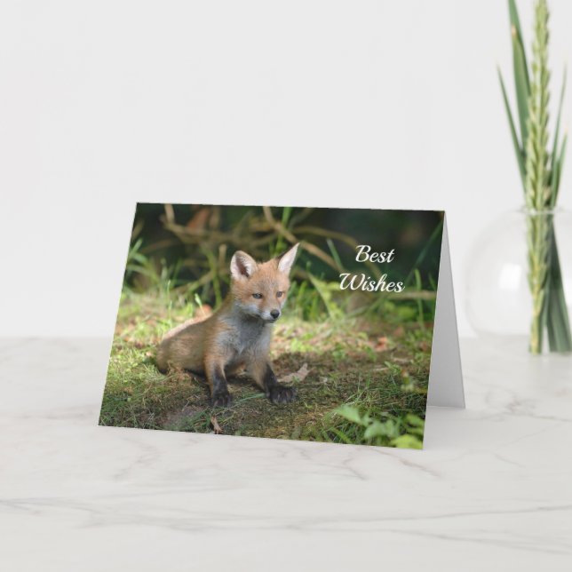 Cartão de Casamento de Parabéns Fotográficos Fox (Frente)