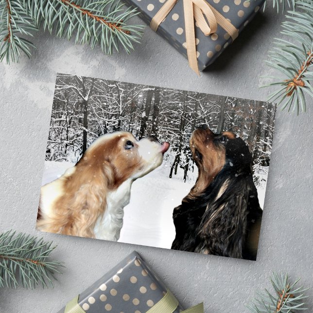 Cartão de Cavalier King Charles Spaniel na Neve (Catching snowflakes Cavaliers for a Christmas greeting. )