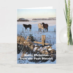 Cartão de cavalo na neve