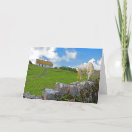 Cartão de Cavalo Pastando na Irlanda