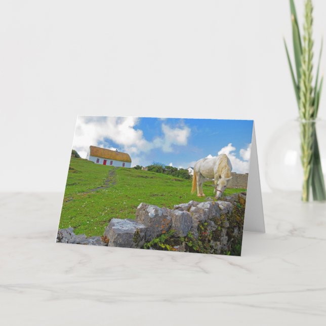 Cartão de cavalo pastando na Irlanda (Frente)