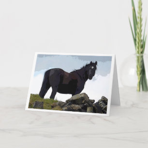 cartão de cavalo preto