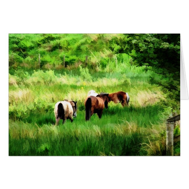 CARTÃO DE CAVALOS (Frente Horizontal)