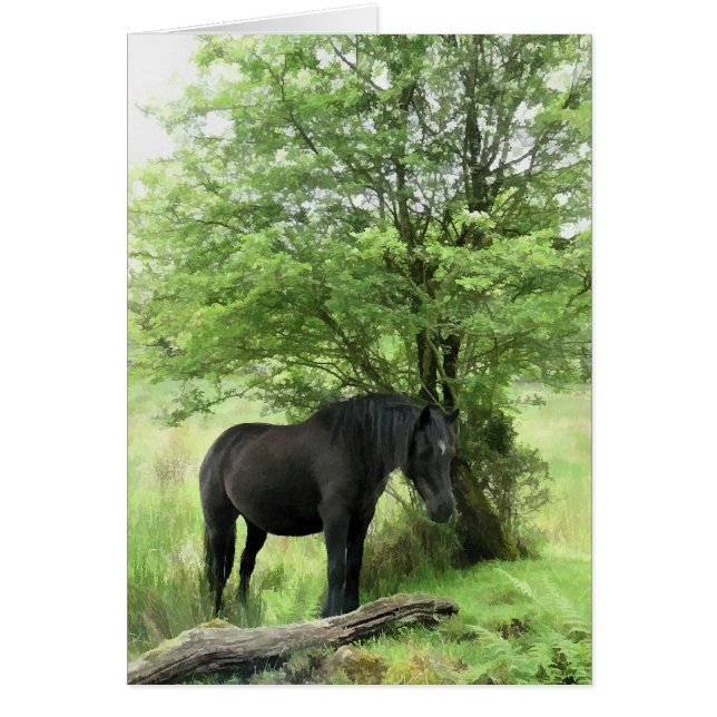 CARTÃO DE CAVALOS (Frente)