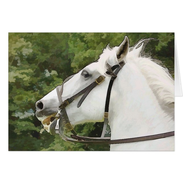 CARTÃO DE CAVALOS (Frente Horizontal)