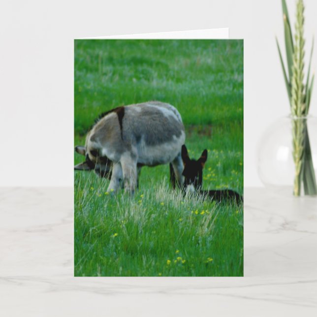 Cartão de cena de natureza de You ausente (Frente)