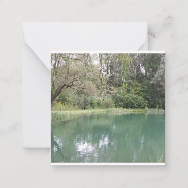 Cartão de Cena de Queda Vermont (Frente)