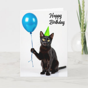 Cartão de Chapéu de Festa de Gato de Veludo