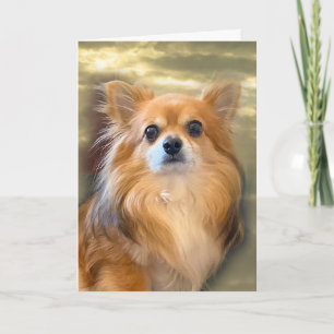 Cartão de Chihuahua de Cabelo Longo