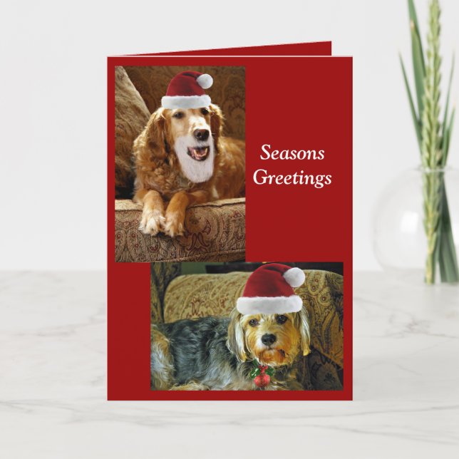 cartão de chris (Frente)