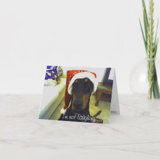 Cartão de Christmast do Doberman