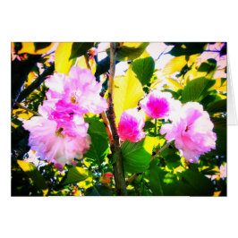 CARTÃO DE CINCO FLORES DE CEREJEIRA