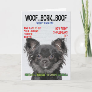 Cartão de Cobrir da Revista Chihuahua Parody