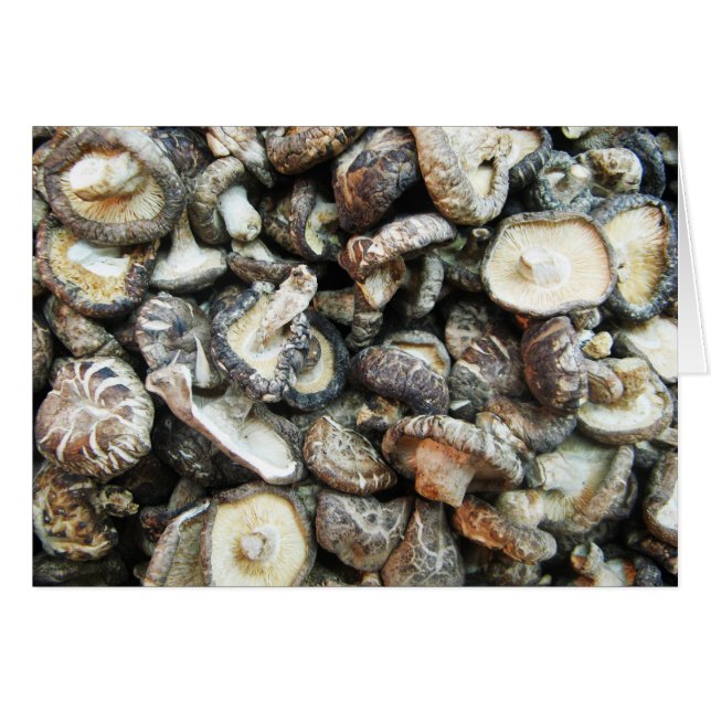 Cartão de Cogumelos Shiitake (Frente Horizontal)