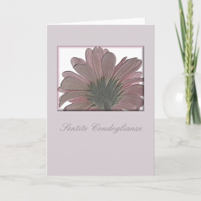cartão de compaixão gerbera cor-de-rosa italiano (Frente)