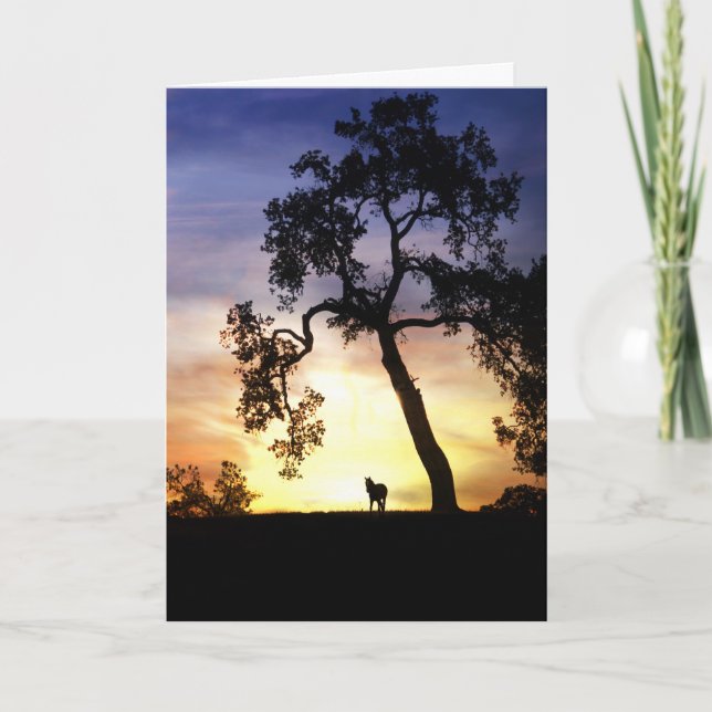 Cartão de condolências (Frente)