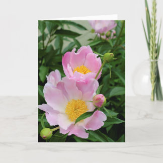 Cartão de condolências