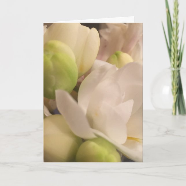 Cartão de condolências (Frente)