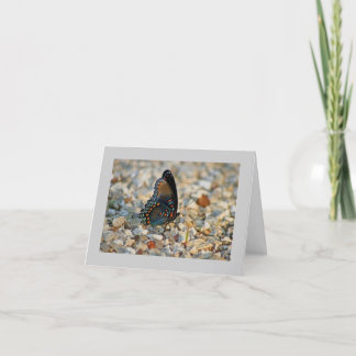 Cartão de condolências da borboleta