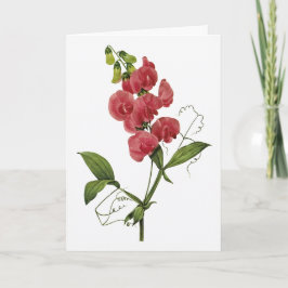 Cartão de condolências de Aquarela de Ervilha doce