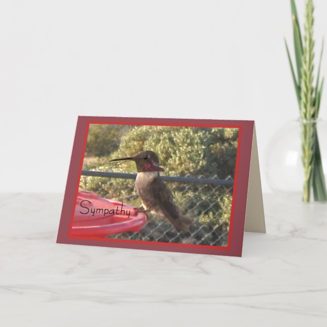 Cartão de condolências de beija-flor para qualquer (Frente)