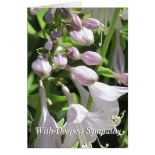 Cartão de condolências de Condolências do Grupo