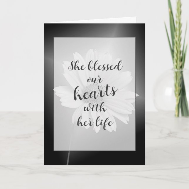 Cartão de condolências de Flor do Cosmos Branco (Frente)