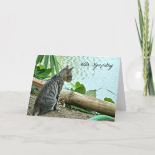 Cartão de condolências de gatos