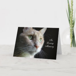 Cartão de condolências de gatos