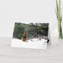 Cartão de condolências de Leonberger