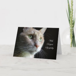 Cartão de condolências do gato