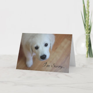 Cartão de condolências, eu sou pesaroso para…