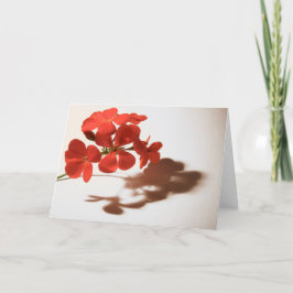 Cartão de Condolências Geranium em Branco