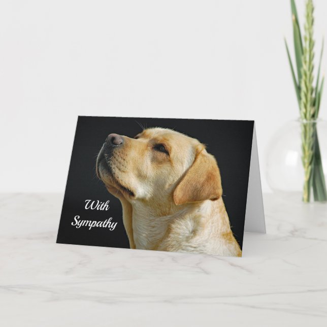 Cartão de condolências Labrador Retriever (Frente)