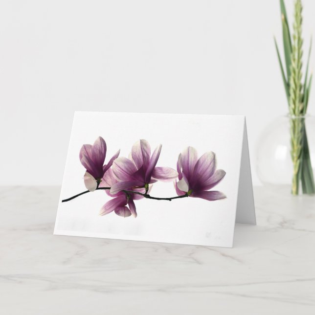 Cartão de Condolências Magnolia Blossoms (Frente)