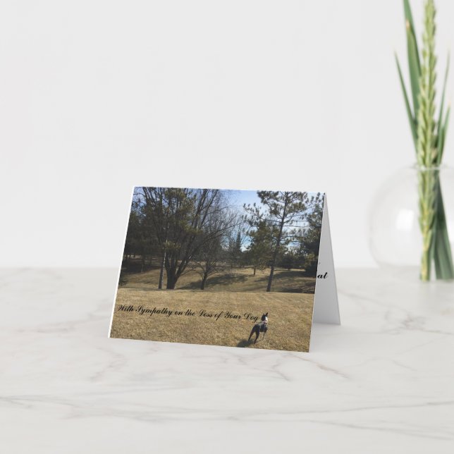 Cartão de condolências para o cão de estimação Bos (Frente)