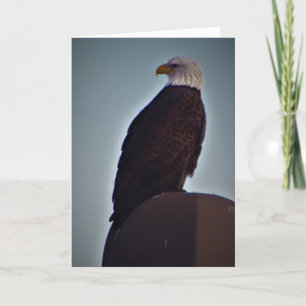 Cartão de condolências "Pássaro Superior"