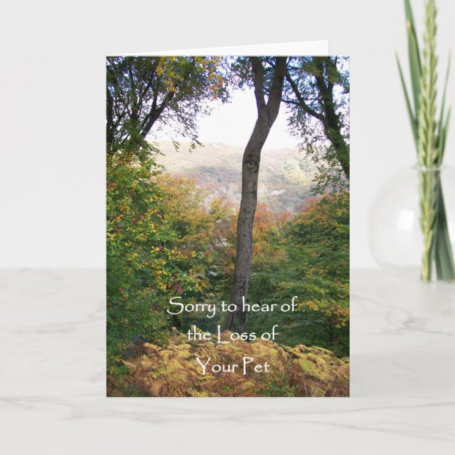 Cartão de condolências, Perda de Pet (Frente)