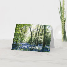 Cartão de condolências Primavera Sunbeams