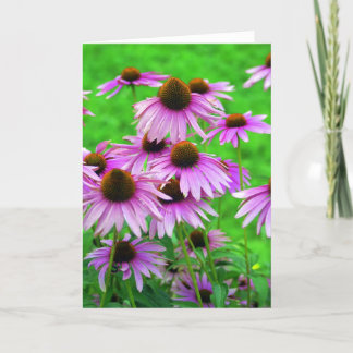 Cartão de Coneflower