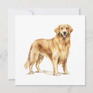 Cartão De Conselho Ouro Retriever aquarela impressão Dog art presente