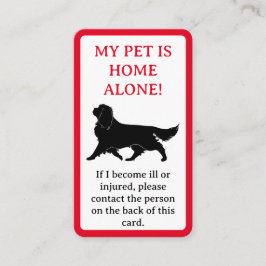 Cartão De Contato Meu cachorro está em casa sozinho