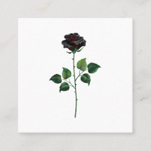 Cartão De Contato Rosa preto