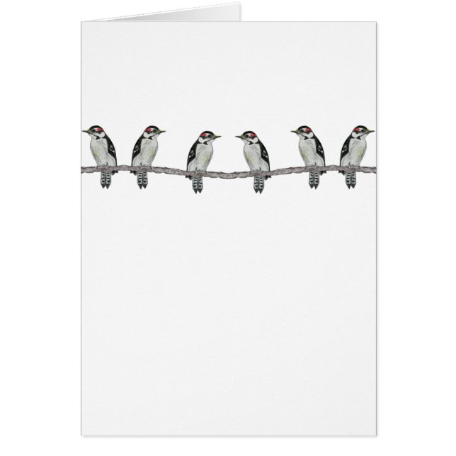 Cartão de Convite de festas Downy Woodpeckers (Frente)