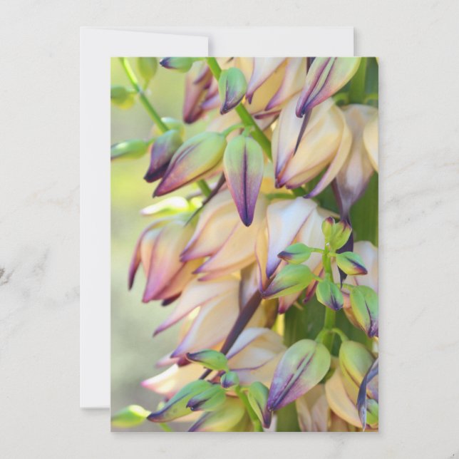 cartão de convite de flores de yucca (Frente)