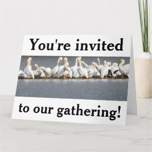 Cartão de convite de saudação, Pelicanos