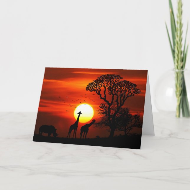 Cartão de Convite Sunset Africano,Cartão Postal (Frente)